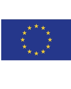 Bandiera stampata EUROPA per la comunicazione esterna istituzionale, commerciale e di arredo ambientale. Eco compatibile realizzata in materiale certificato e normalizzato a livello europeo per la produzione di bandiere. Poliestere nautico al 100%, orlato