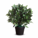 Complementi d’arredo per decorare gli ambienti di lavoro, uffici, ingressi ed aree comuni. Garantiscono un ambiente molto naturale e non richiedono manutenzione. Vengono forniti in vaso standard di plastica. Lauro - in PET con tronco in legno altezza 50 c