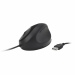 Con supporto per il polso integrato e presa neutra, il mouse Pro Fit® Ergo con cavo approvato dagli esperti di ergonomia consente il posizionamento della mano per un miglior comfort. Le caratteristiche includono clic silenzioso, collegamento USB Plug & Pl