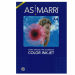 Carta fotografica LUCIDA per riproduzioni fotografiche e immagini grafiche. Asciugamento istantaneo. Per stampanti inkjet. Carta naturale con trattamento speciale su entrambe le superfici che permette di ottenere una maggiore brillantezza dei colori e che