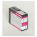Tanica inchiostro magenta a pigmenti ultra chrome