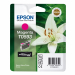 Cartuccia magenta stylus photo R2400 BLISTER