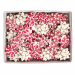 Stelle nastro in carta erba 100% riciclata. Fantasie assortite natale.