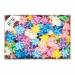 Stelle in nastro liscio 14mmxØ5cm in colori primaverili assortiti.