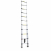 Scala telescopica in alluminio a dieci gradini, misure: 80 H cm chiusa, altezza massima 3,20 m. Consigliata per uso domestico e bricolage. Portata massima 150 kg. Dimensioni Chiusa: 80x8x47 cm. Dimensioni Aperta:320x8x47 cm. Articolo destinato ad esclusiv