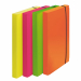 Cartelle Fluo Shocking File realizzate in PPL da 0,6mm in 4 vivaci colori fluo. Riciclabili, indistruttibili e resistenti all'umidità. Cartella Progetto doppio incastro laterale e chiusura con elastico. Formato: 24x35cm. Dorso 3 cm.