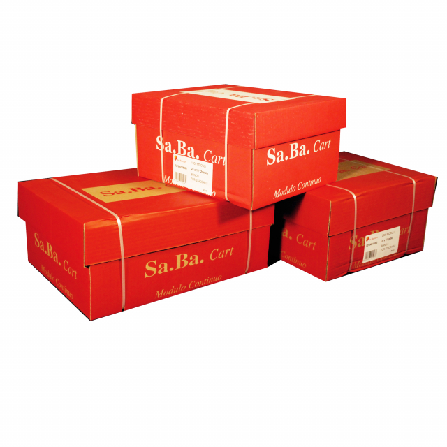 Modulo continuo in carta bianca in pura cellulosa di qualitÓ meccaniche longitudinali e trasversali ad alta resistenza, antispolvero (non logora le testine di stampa), ad alto punto di bianco, totalmente esente da cloro (ECF). Moduli continui a pi¨ copie