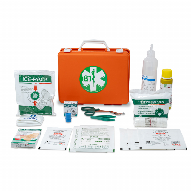 Valigetta colore arancio realizzata in plastica. Dotata di supporto per attacco a parete e maniglia per il trasporto. Chiusura con due clip rotanti. Dimensioni: 25x19x9cm. Contenuto: kit allegato 2