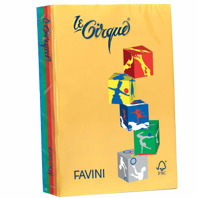 Carta da 80grammi multiuso per la casa, la scuola e il tempo libero. Ideali per tutti i tipi di copiatura, ottimali per stampabilità (inkjet,laser, offset). Acid Free e Chlorine Free (ECF). Formato A4 21x29,7cm. Risma da 500fogli in 5 colori: azzurro 204,