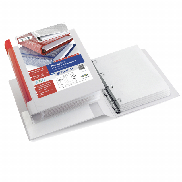 Raccoglitore personalizzabile in Colpan® (cartone rivestito in PVC) con tasca interna e meccanismo a 4 anelli (a D). Tasche trasparenti sul 1° quadrante e sul dorso che consentono l'inserimento facilitato della personalizzazione. Formato esterno: 260x310 