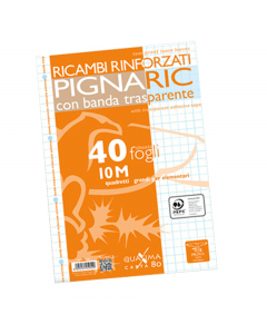 Ricambi bianchi con foratura universale nel formato A4 (21 x 29.7 cm). Carta 80 gr, certificata PEFC. Con banda rinforzata trasparente.