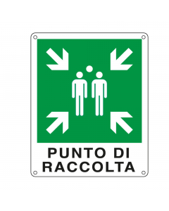 Cartelli di sicurezza con dimensioni e caratteristiche cromatiche e colorimetriche dei segnali conformi alle norme UNI 7543 D.Lgs 81 del 09/04/08. Cartelli in alluminio piano, adatto sia in ambienti interni che esterni con atmosfere anche molto aggressive