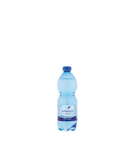 Acqua frizzante bottiglia PET 500ml San Benedetto