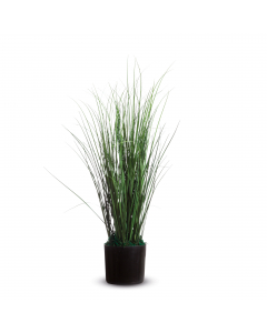 Complementi d’arredo per decorare gli ambienti di lavoro, uffici, ingressi ed aree comuni. Garantiscono un ambiente molto naturale e non richiedono manutenzione. Vengono forniti in vaso standard di plastica. Erba - in PVC altezza 55cm. compatibile con por