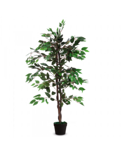 Complementi d’arredo per decorare gli ambienti di lavoro, uffici, ingressi ed aree comuni. Garantiscono un ambiente molto naturale e non richiedono manutenzione. Vengono forniti in vaso standard di plastica. Ficus - in poliestere con tronco in legno, alte