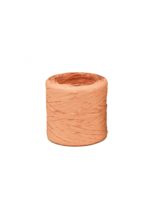 Bobina Raphia Vintage 200mt. Sintetica. Colore: salmone-64.