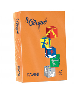 Carta da 80grammi multiuso per la casa, la scuola e il tempo libero. Ideali per tutti i tipi di copiatura, ottimali per stampabilità (inkjet,laser, offset). Acid Free e Chlorine Free (ECF). Formato A4 21x29,7cm. Risma da 500fogli.