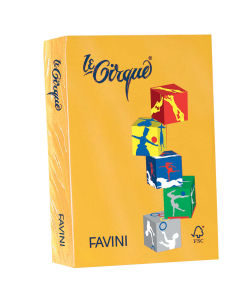 Carta da 80grammi multiuso per la casa, la scuola e il tempo libero. Ideali per tutti i tipi di copiatura, ottimali per stampabilità (inkjet,laser, offset). Acid Free e Chlorine Free (ECF). Formato A4 21x29,7cm. Risma da 500fogli.