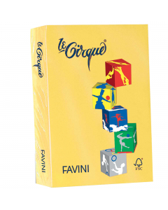 Cartoncino da 160grammi multiuso per la casa, la scuola e il tempo libero. Ideali per tutti i tipi di copiatura, ottimali per stampabilità (inkjet,laser, offset). Acid Free e Chlorine Free (ECF). Formato A4 21x29,7cm. Risma da 250fogli.