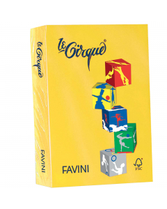 Cartoncino da 160grammi multiuso per la casa, la scuola e il tempo libero. Ideali per tutti i tipi di copiatura, ottimali per stampabilità (inkjet,laser, offset). Acid Free e Chlorine Free (ECF). Formato A4 21x29,7cm. Risma da 250fogli.