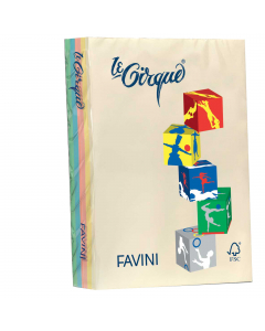 Cartoncino da 160grammi multiuso per la casa, la scuola e il tempo libero. Ideali per tutti i tipi di copiatura, ottimali per stampabilità (inkjet,laser, offset). Acid Free e Chlorine Free (ECF). Formato A4 21x29,7cm. Risma da 250fogli in 5 colori: giallo