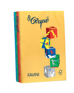 Cartoncino da 160grammi multiuso per la casa, la scuola e il tempo libero. Ideali per tutti i tipi di copiatura, ottimali per stampabilità (inkjet,laser, offset). Acid Free e Chlorine Free (ECF). Formato A4 21x29,7cm. Risma da 250fogli in 5 colori: azzurr