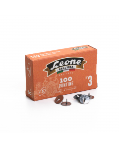 Scatola da 100 puntine ad una punta in acciaio lucido.
