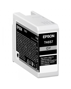 Epson Cartuccia Grigio UltraChrome Pro 10 ink 25ml
