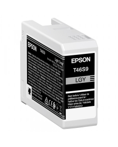Epson Cartuccia Grigio UltraChrome Pro 10 ink 25ml