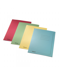 Cartella a 3 lembi Manilla Esselte di elevata capacità sono realizzate in robusto cartoncino da 295 gr/mq calandrato all’interno e all’esterno. Dorso espandibile fino a 2 cm.