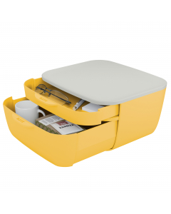 Cassettiera a 2 scomparti (1 piccolo e 1 grande). Accoglienti colori opachi e design minimalista.