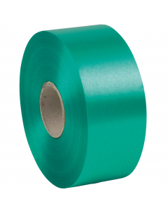 Nastro liscio in polipropilene 50mmx 100mt.