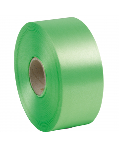 Nastro liscio in polipropilene 50mmx 100mt.