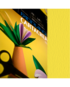 Cartoncino colorato prodotto con il 100% di cellulosa E.C.F. certificata FSC, conforme alla normativa ISO 9706 "Long Life". Per le sue caratteristiche e per le due superfici liscia e ruvida, è adatto per costruzioni, collage e lavori creativi.