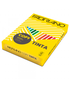 Carta naturale, colorata in massa e in superfice. Ottima qualitÓ. Prodotta con il 100% di cellulosa E.C.F., certificata FSC. Acid free con riserva alcalina a garanzia di lunga conservazione. Long Life (ISO 9706). Idonea per fotocopie, stampe laser ed inkj