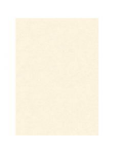 Foglio neutro avorio in carta pergamena da 160gr nel formato 210x297mm.