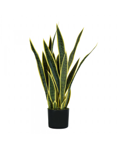 Pianta artificiale in polietilene. Vaso con muschio. Altezza 75cm.