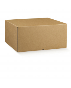 Scatola/box per gastronomia/food d'asporto in cartoncino accoppiato colore avana naturale, riciclabile, sovrapponibile, molto robusta. Dimensioni 30x40x19,5cm.