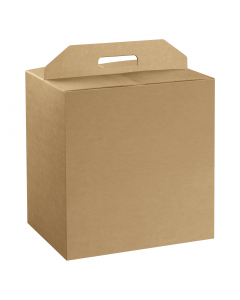 Scatola in cartone liscio colore avana per confezionare panettone + 1 bottiglia. Dotata di comoda maniglia per il trasporto. Dimensioni: 28x20x35cm.