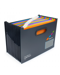 Organizzate e ordinate le vostre carte con questo robusto portadocumenti A4 che si espande completamente ed è ideale da tenere sulla scrivania o su una libreria sia in ufficio che a casa. Le sezioni sono in quattro colori diversi e ogni divisorio ha una p