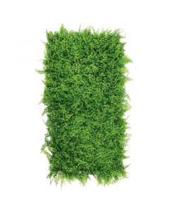 Pannello Amazzonia realizzato in LDPE, non attira insetti ed è facilmente lavabile, resistente ai raggi UV e alle intemperie. Fornito steso. Dimensioni: 0,5x1m.
