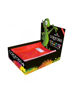 Assortimento di 60 copertine f.to A4 in 17 colori assortiti.