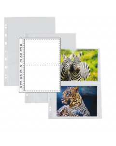 Buste in PP liscio con foratura universale per la raccolta di fotografie. 
Dotate di 2 tasche per lato da 15x21cm (inserimento foto laterale)
I due lati sono separati da un divisorio bianco. 
Formato busta 21x29,7cm.