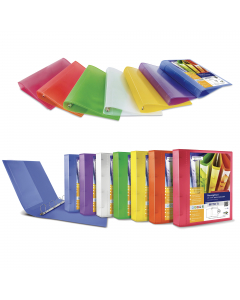 Raccoglitore personalizzabile in polipropilene colorato semitrasparente, con meccanismo a 4 anelli (a D). Dotato di tasche trasparenti sul 1° quadrante, sul dorso e all'interno. Inserimento facilitato della personalizzazione del dorso. Formato esterno: 26